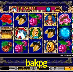 Experiência VIP bakpg