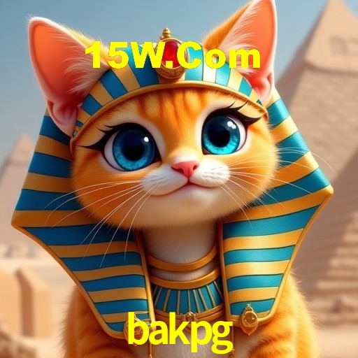 Interface Premium bakpg